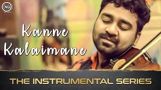 The Instrumental Series | Kanne Kalaimane | Violin Cover | Abhijith | Noise and Grains