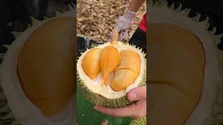 Amazing! Durian Fruits Cutting Skills - Malacca Durian Heng