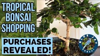 Tropical Bonsai Shopping - My Purchases Revealed!