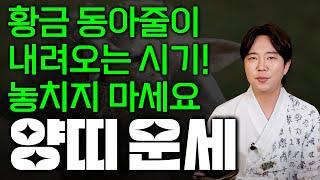 2025 양력 4월 양띠 운세