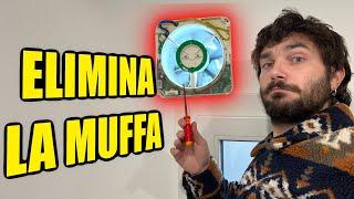 How to ELIMINATE mold from rooms FOREVER - VMC Puntale fantini cosmi Rhinocomfort