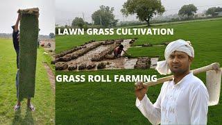 From Farm to Lawn: Delivering Natural Green Bliss Straight to Your Doorstep!