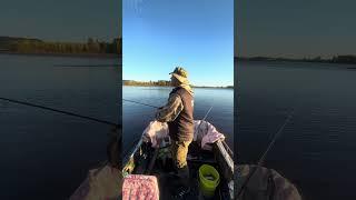 БУДНИ РЫБАКА. Когда ловишь на первом забросе. #shortsvideo #shortvideo #shorts #short
