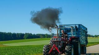 IHC 1046 | STEYR 8130 TURBO | Gras Silage mit Purer POWER