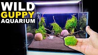 WILD & NATURAL GUPPY BREEDING AQUARIUM - STEP BY STEP || MD FISH TANKS