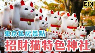 Tokyo must go to the Lucky Cat Shrine Hotokuji one-day tour