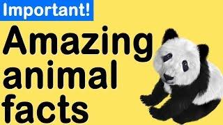 Amazing facts about animals