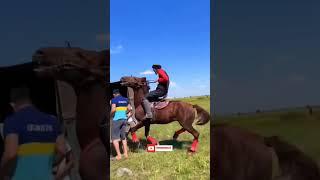 KokPar dangerous moment#buzkashi #бузкаши #shorts