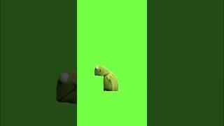 If Kermit The Frog was a Green Screen Kid #shorts #funny #trending #stopgreenscreenkids