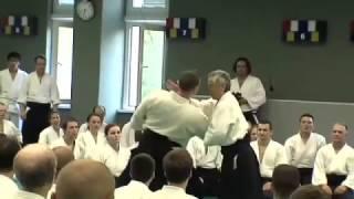 Tamura Nobuyoshi 田村 信喜 | Chudan tsuki irimi nage 2009