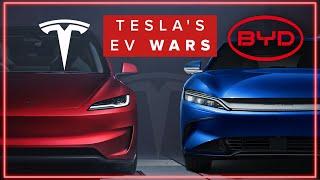 The TRUTH About Chinese BYD & Tesla | Which Is The Best?