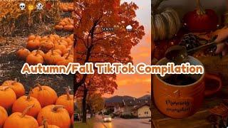 Autumn/Fall TikTok  Compilation cause it’s August already!  | allaboutfall