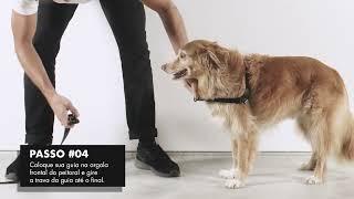 ¿Cómo colocar el zee.dog gotham soft-Walk Harness?