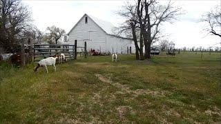 Our Homestead... Join Us For a Tour!