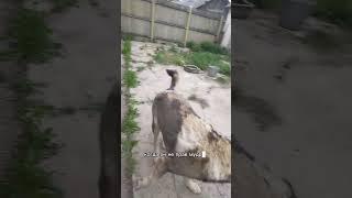 человек признающий свои ошибки мудр