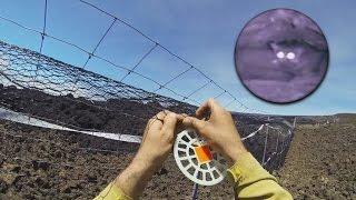 Largest Cat-proof Fence Built On Largest Volcano (Oct. 26, 2016)