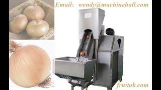 commercial onion peeling machine| onion root cutting and ring cutting machine line video