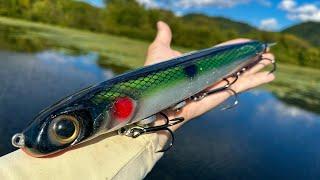Fishing the BIGGEST LURES OF MY LIFE for RIVER MONSTERS!