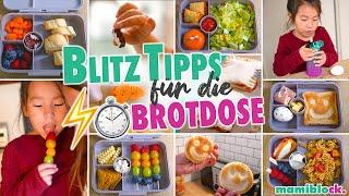 Schnelle ️- Tipps für die Brotdose | Frühstück für Kita und Schule | Brotdosenvergleich | mamiblock