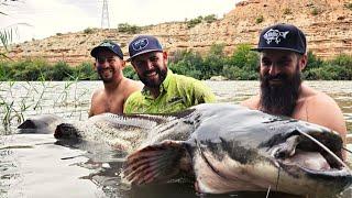 Pesca de Bagres Siluro Gigantes en el Río Ebro