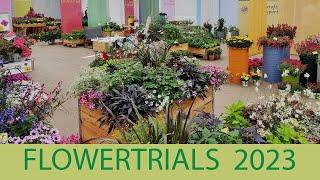 Flowertrials Kientzler 2023