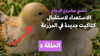 تربية الدجاج | حلقة 02 | الاستعداد قبل وصول الكتاكيت  | تجهيز المزرعة والبيئة المثالية لهم 