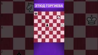 ИЗЯЩНЫЙ ЦУГЦВАНГ #chess #chesspuzzle #шахматы #шахматныезадачи
