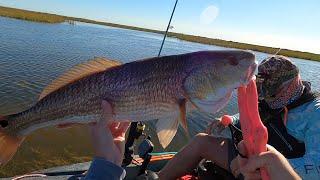 Tank Redfish Limit In The Marsh Kayak Trip