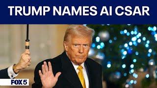 Trump names David Sacks as Crypto and AI czar