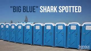 Shark Week 2017 | Service Sanitation