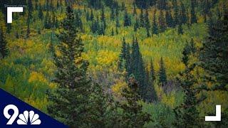 When is the best time to see the peak fall colors in Colorado?