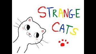 Strange cats 