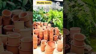 @muddyboots #muddyboots #plantnursery #trending #greaternoida #nurserynearme