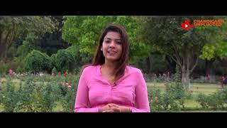 Rose Garden Chandigarh | Sector 16 | Zakir Hussain Botanical Garden |  Chandigarh Unplugged