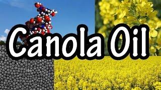 Canola Oil - What is Canola Oil - Canola Oil Nutrition