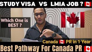 Study Visa VS LMIA  ( CANADA ) Which one is better for PR in CANADA  #canada #india #pr #punjab