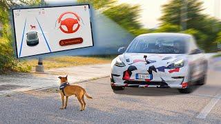 Autopilota di Tesla: si fermerà o investirà il mio cane?