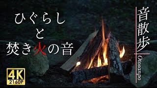 Higurashi and the Sound of a Bonfire