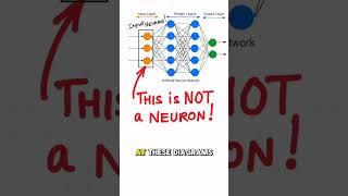 Input Neuron is a Lie!