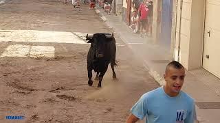 2 TOROS DE SALVADOR GARCÍA  GAVIRA...(comisión taurina El Raval) 29-6-2024