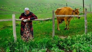 Yaylacı Anne ve Oğulları | Belgesel Film