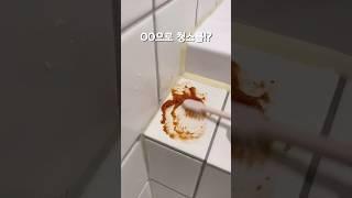 이걸로 청소를 한다고!? 녹제거! 스탠청소 0원으로 하는법 