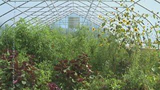 Black farmers, growers head to Springfield to lobby for equity in agriculture