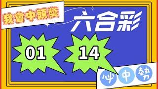 六合彩137期平特碼數據分析🟢｜2024年12月19日開彩 ｜#樂透寶 #六合彩