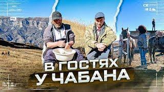 Реальный Дагестан. Кто такой чабан? Шамиль делает сыр. Готовим чуду. Гостевой дом "Истоки"