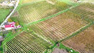 Teren Agricol, Extravilan vanzare, in Iasi, Cotnari