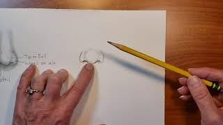 Draw a nose step by step