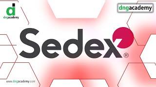 Sedex | SMETA | Sustainable Supply Chain | Ethical Trade Audit | UK Retailers | DNG Academy