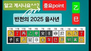 반전의 2025 을사년️