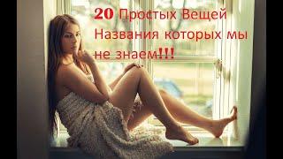 20 Привычных вещей, названия которых мало кто знает!